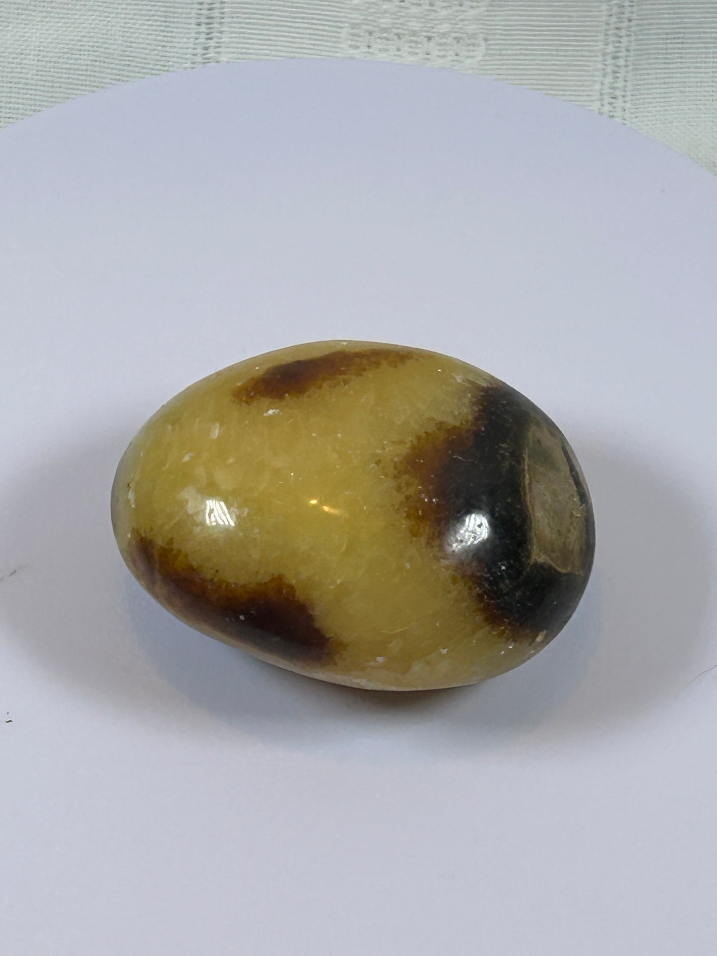 (#89) - SEPTARIAN PALM STONE POLISHED - NEW
