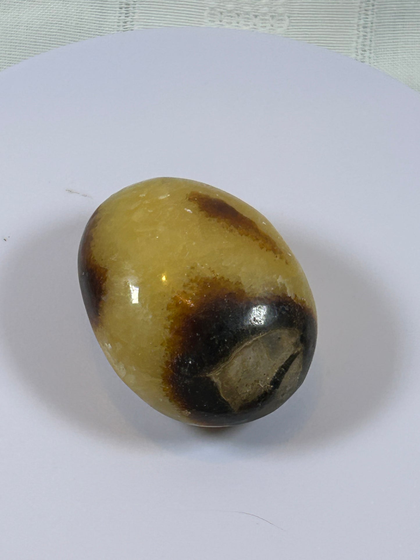 (#89) - SEPTARIAN PALM STONE POLISHED - NEW