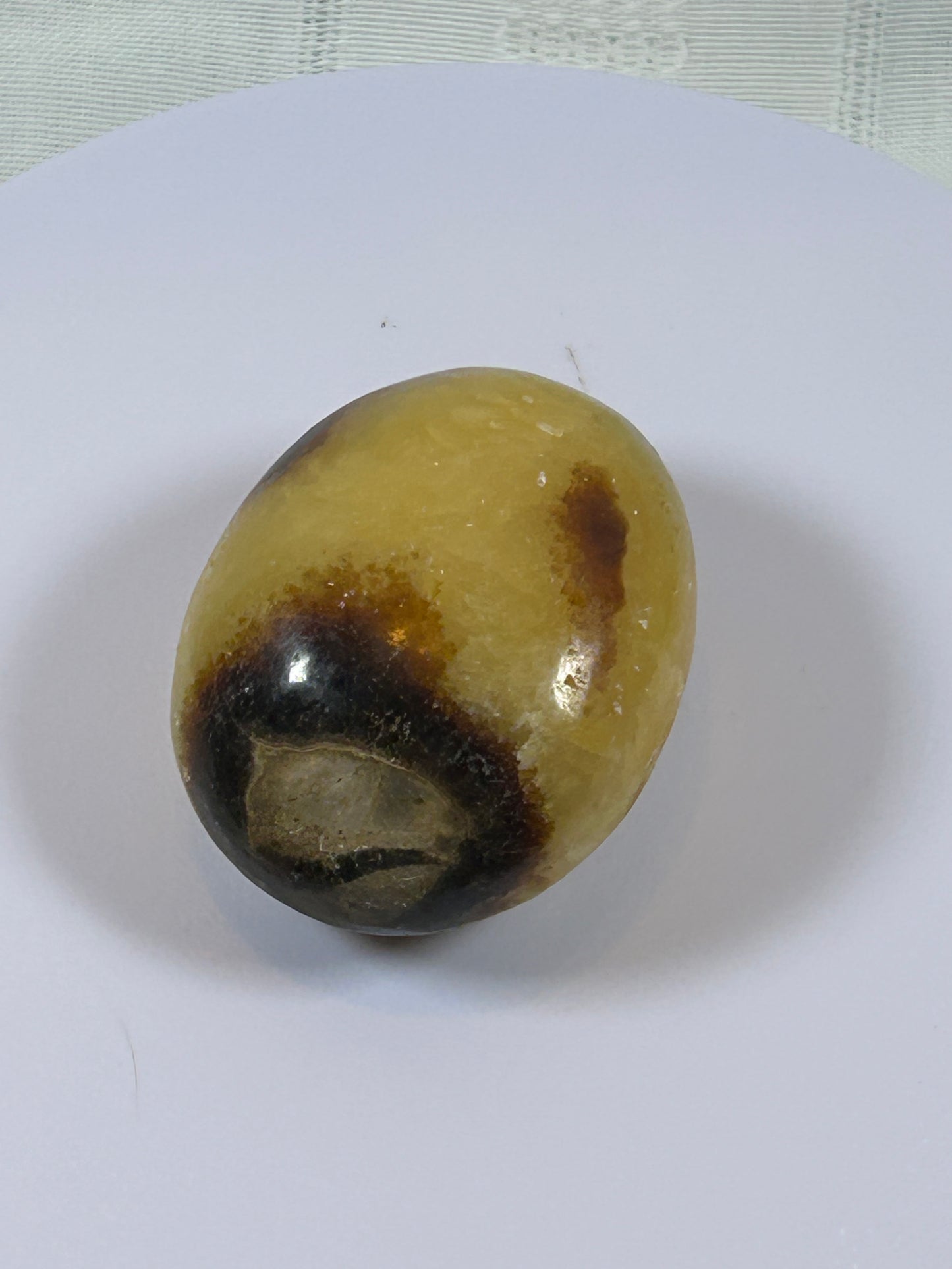 (#89) - SEPTARIAN PALM STONE POLISHED - NEW