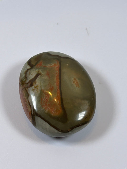 (#90) - POLYCHROME JASPER PALM STONE POLISHED - NEW